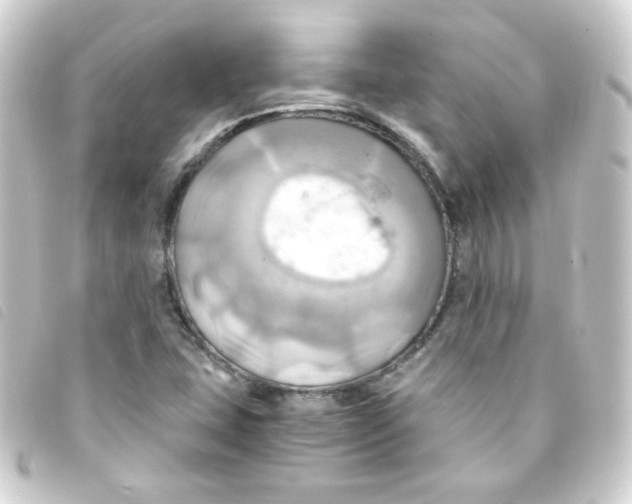 X0000093241407200710241246