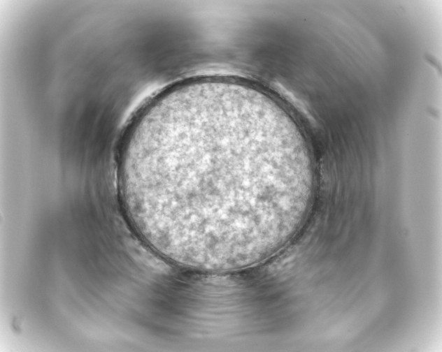 X0000093241408200710241246