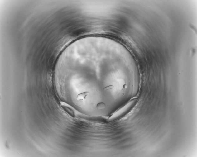 X0000093241409200710241246