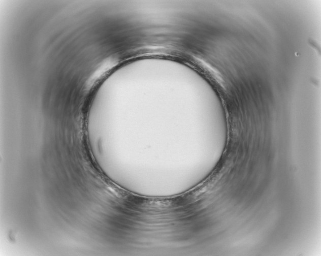 X0000093241411200710241246