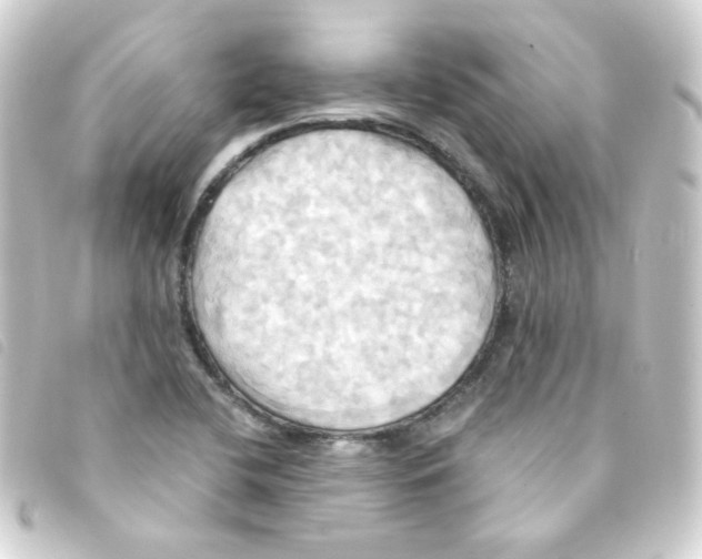 X0000093241412200710241246