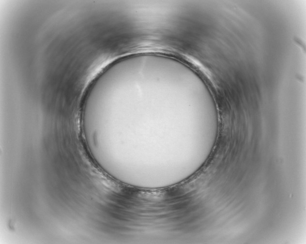 X0000093241415200710241246