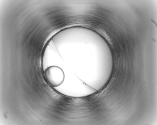 X0000093241420200710241247