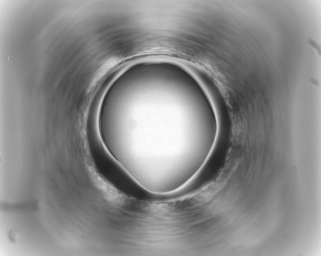 X0000093241422200710241247