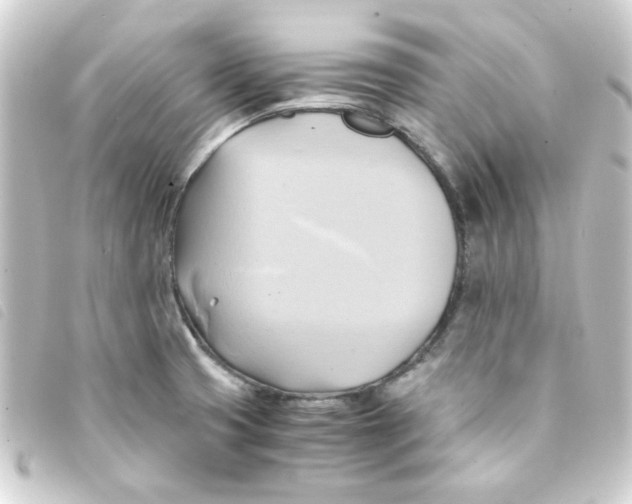 X0000093241425200710241247