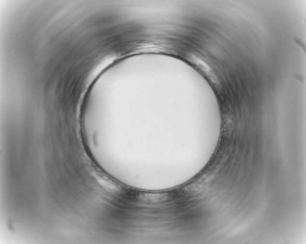 X0000093241427200710241247