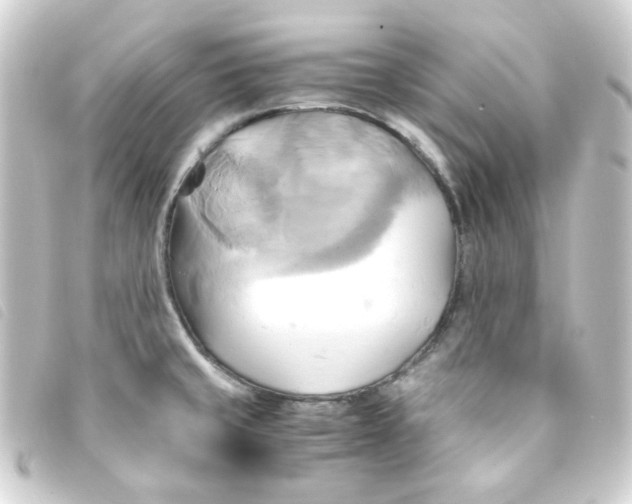 X0000093241429200710241247