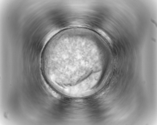 X0000093241431200710241247