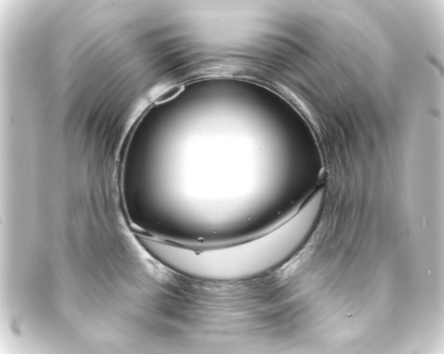 X0000093241434200710241247