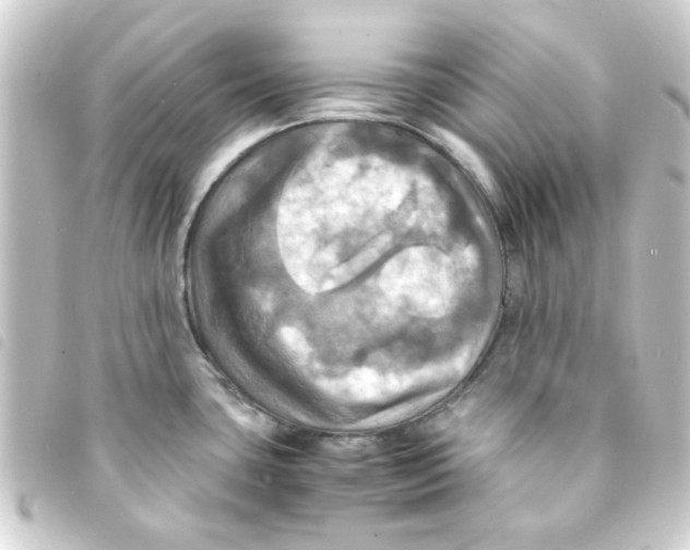 X0000093241435200710241247