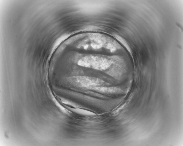 X0000093241437200710241247