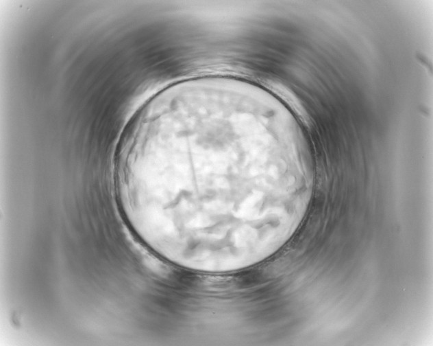 X0000093241439200710241247