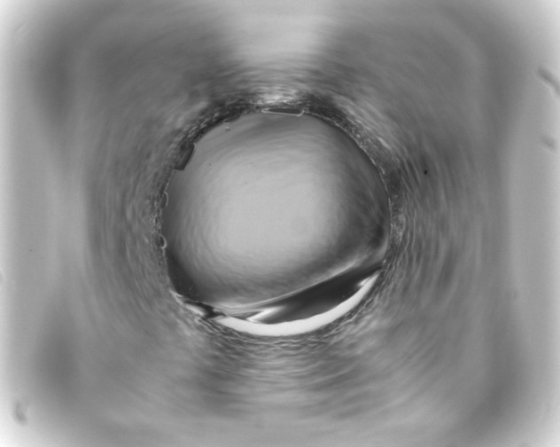 X0000093241441200710241246