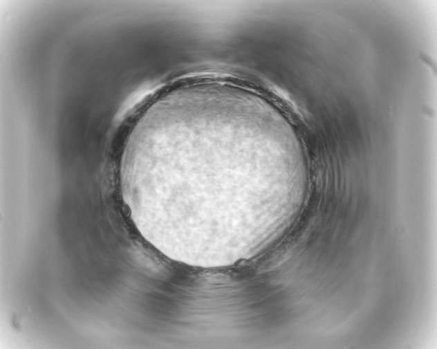 X0000093241448200710241246