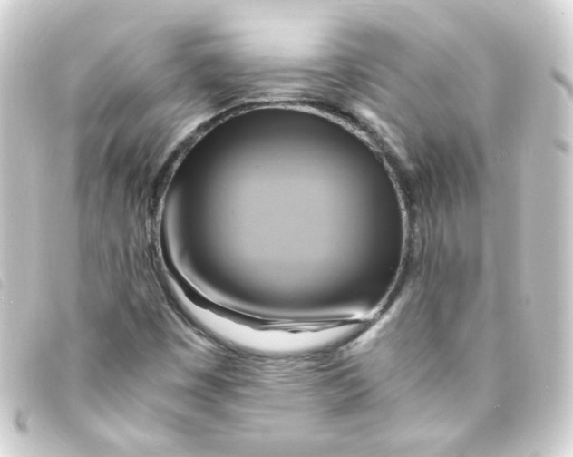 X0000093241449200710241246