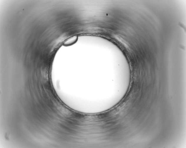 X0000093241451200710241246