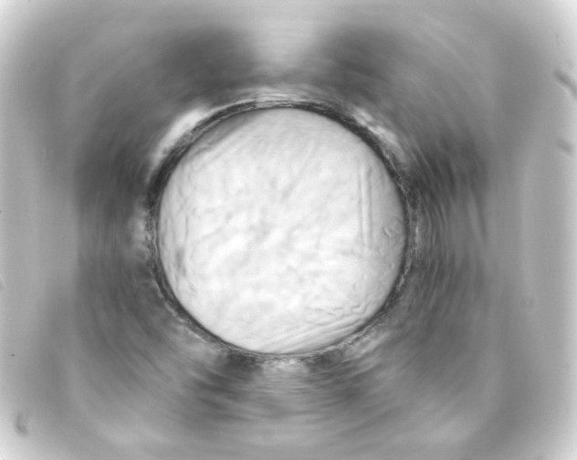 X0000093241454200710241246