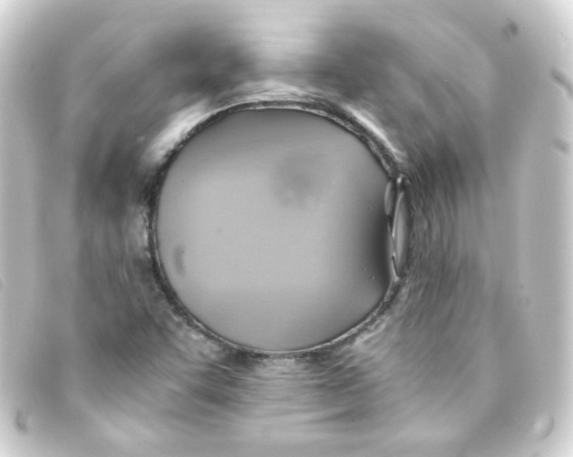 X0000093241455200710241246