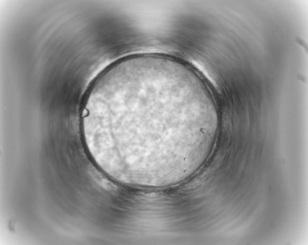 X0000093241460200710241246