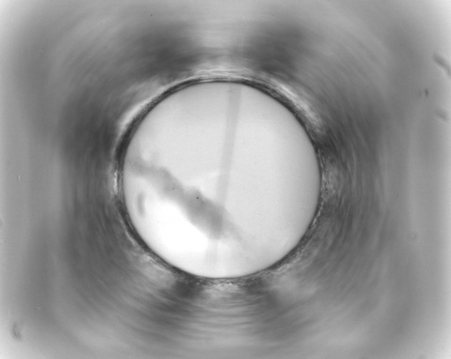 X0000093241462200710241246