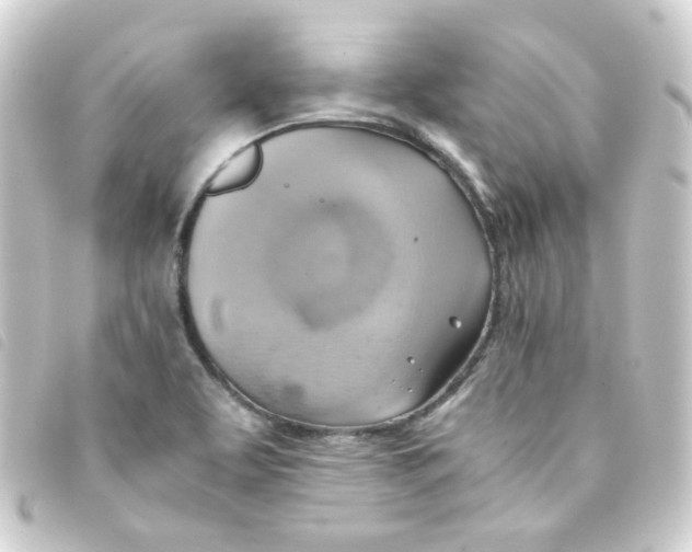 X0000093241463200710241246