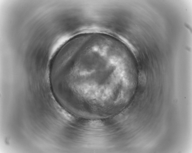 X0000093241464200710241246