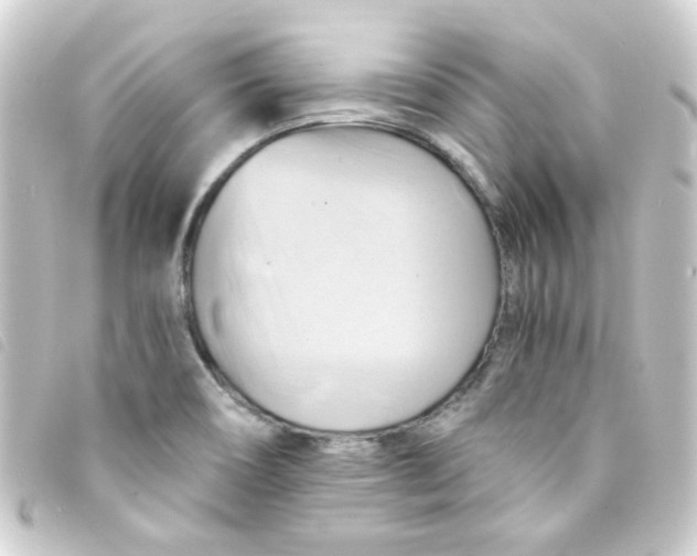 X0000093241466200710241246