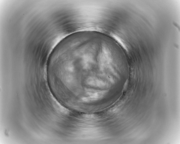 X0000093241468200710241246