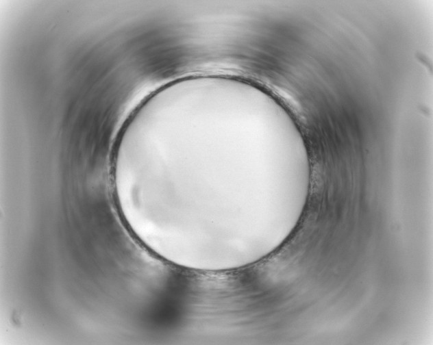 X0000093241470200710241246