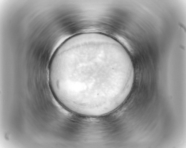 X0000093241476200710241246