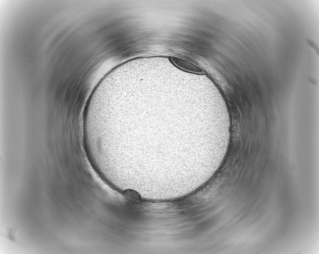 X0000093241479200710241246