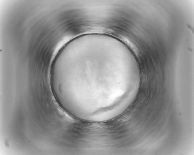 X0000093241480200710241246