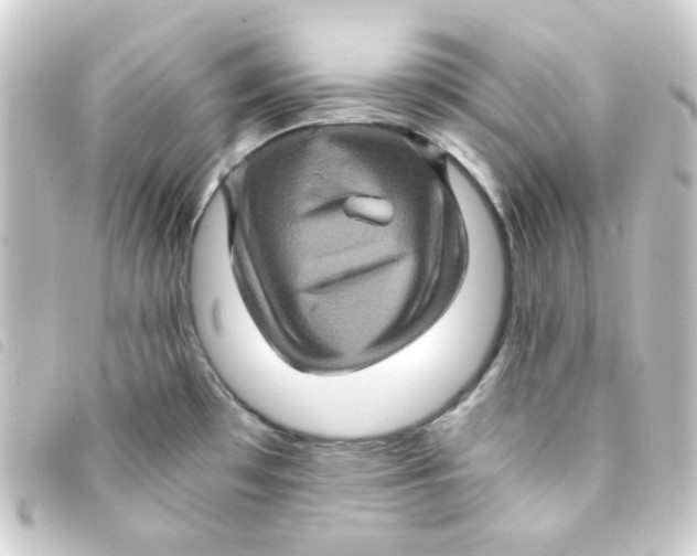 X0000093241481200710241246