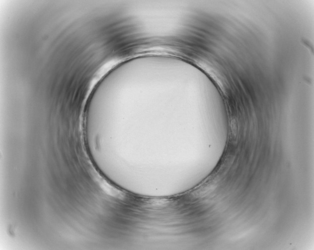 X0000093241482200710241246