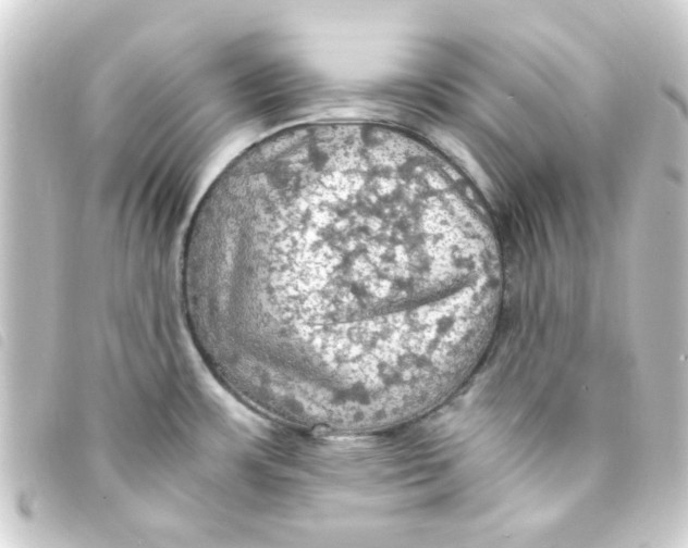 X0000093241483200710241246