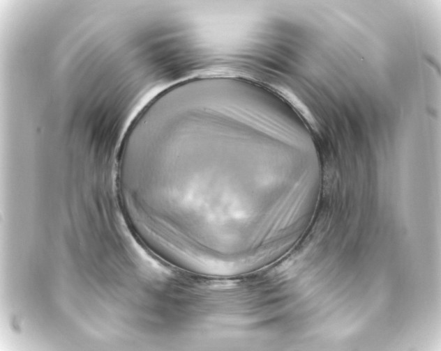 X0000093241484200710241246