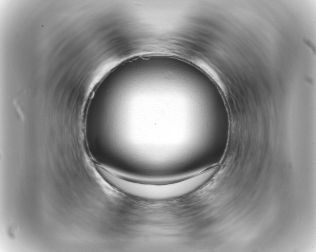 X0000093241485200710241246