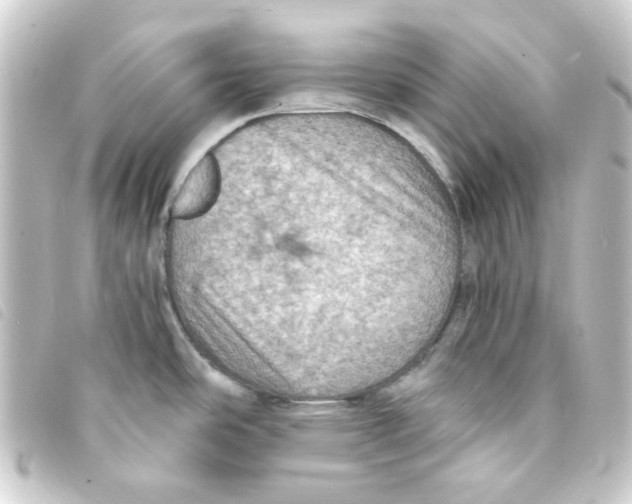 X0000093241486200710241246