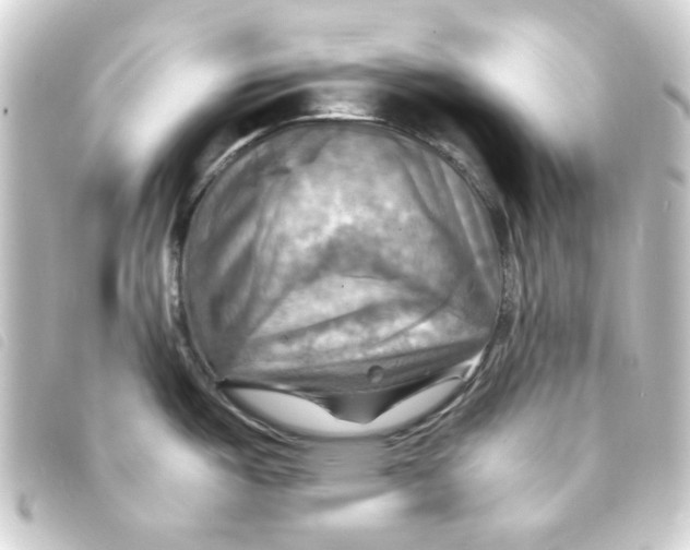 X0000093241487200710241246