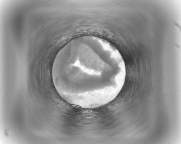 X0000093241489200710241245