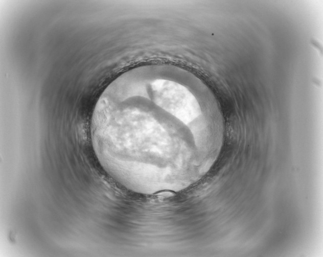 X0000093241490200710241245