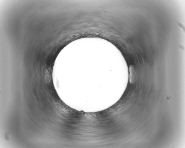 X0000093241491200710241245