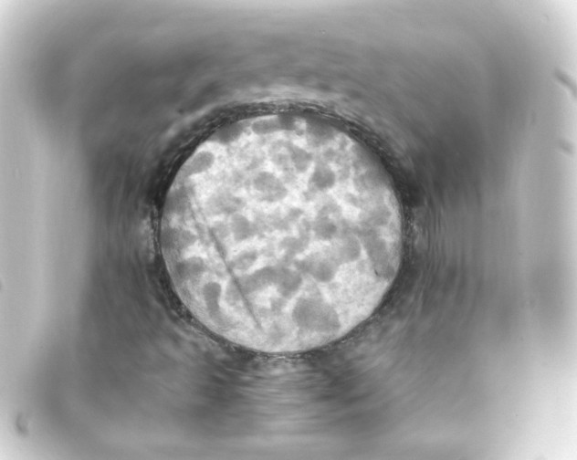 X0000093241493200710241245