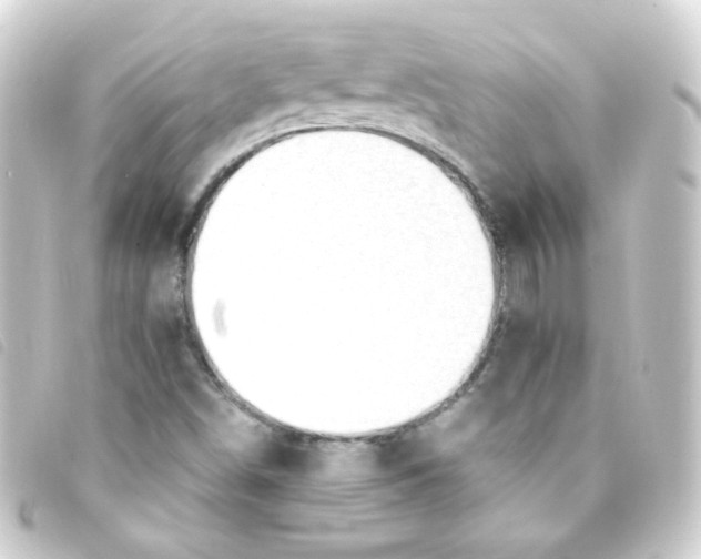 X0000093241498200710241245