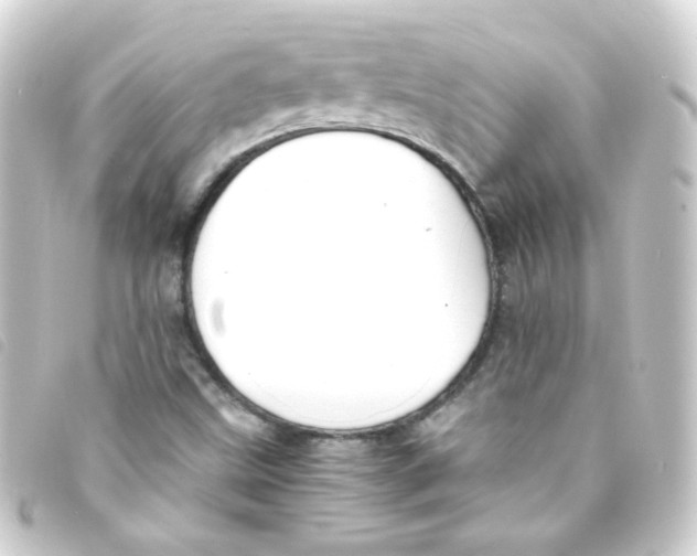 X0000093241499200710241245