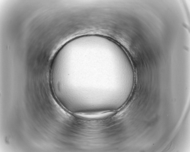 X0000093241500200710241245