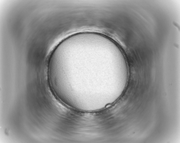 X0000093241504200710241245