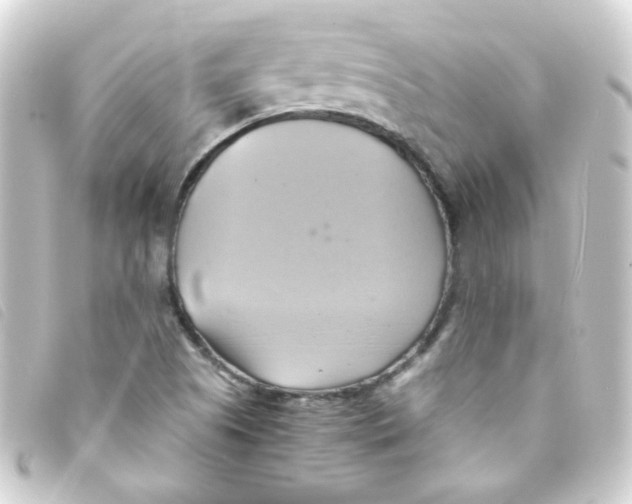 X0000093241505200710241245