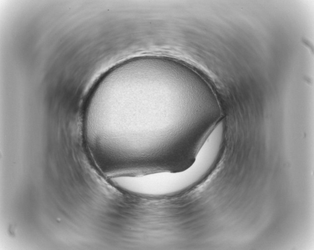 X0000093241506200710241245