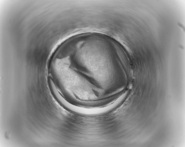 X0000093241508200710241245